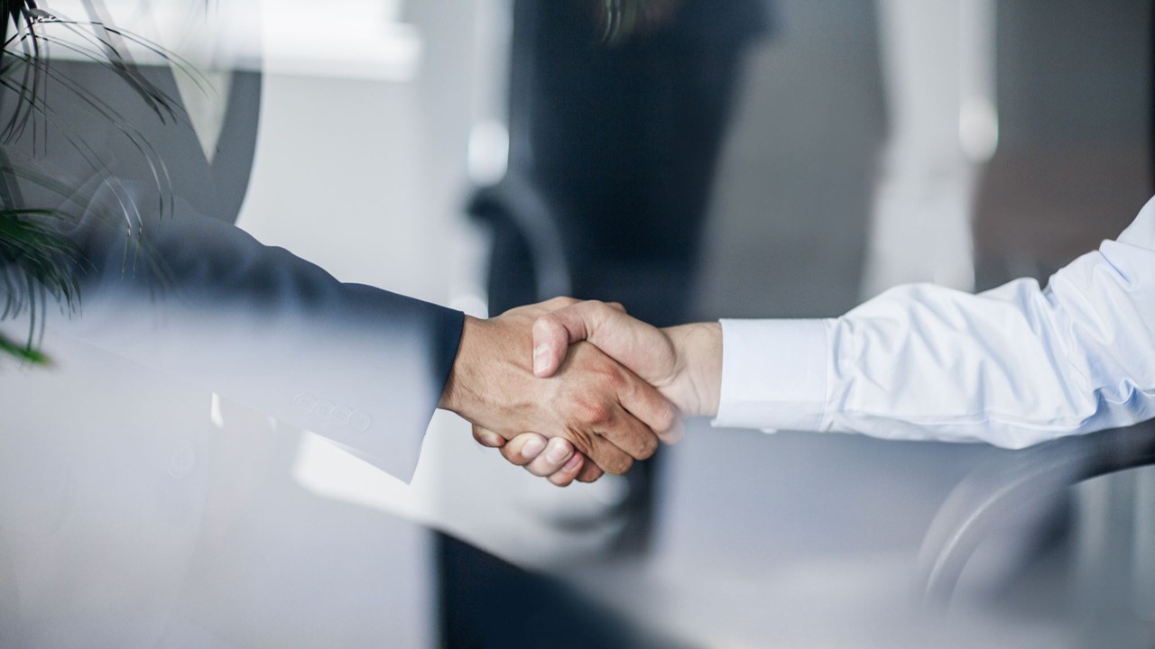 Professional partnership — Vitruvia Governance Architects